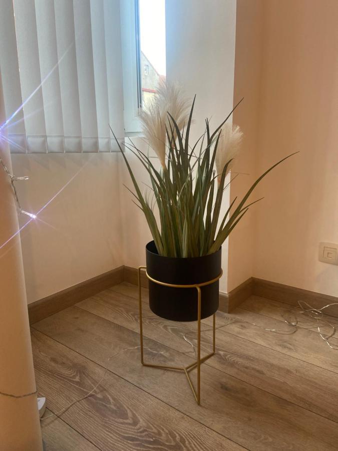Modern Appartement Centrum Oostende Eksteriør bilde